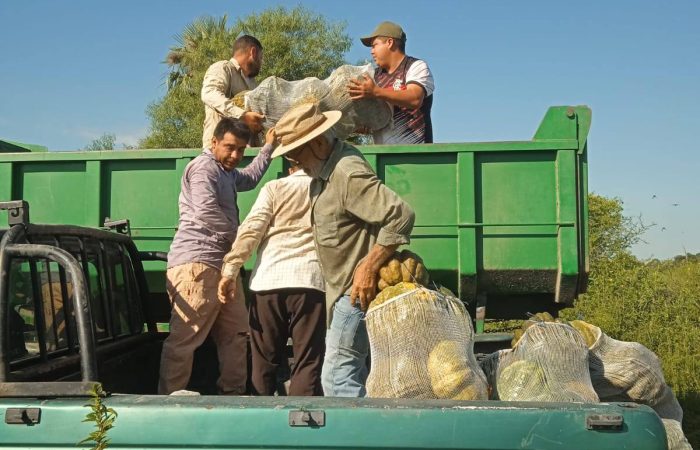 626297795_122288841692016087_4666407936085027246_n