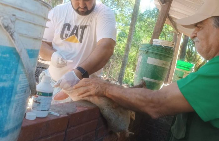 635528562_122290280798016087_3715662280847968256_n