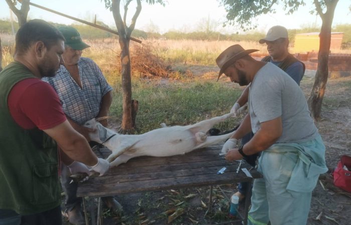 636560574_122290280756016087_2934978691045525867_n