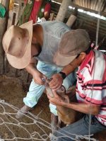 Jornadas de sanitación y asistencia técnica a pequeños productores de Benjamín Aceval