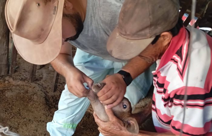 638446521_122290280846016087_5052009474809279761_n