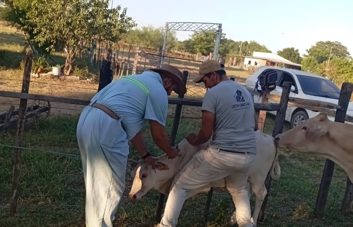 638778049_122290280702016087_3792317849405165178_n