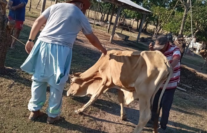 639033495_122290280900016087_67115471176928041_n